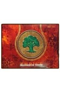Magic the Gathering: Born of the Gods Prerelease
